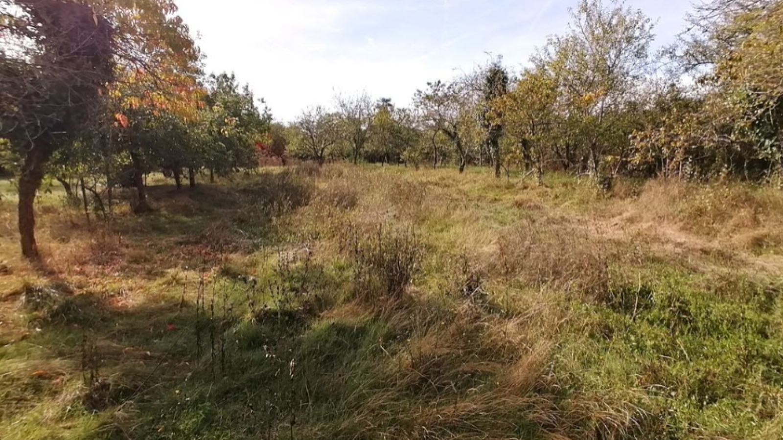 Terrain constructible de 985m2 à Béruges