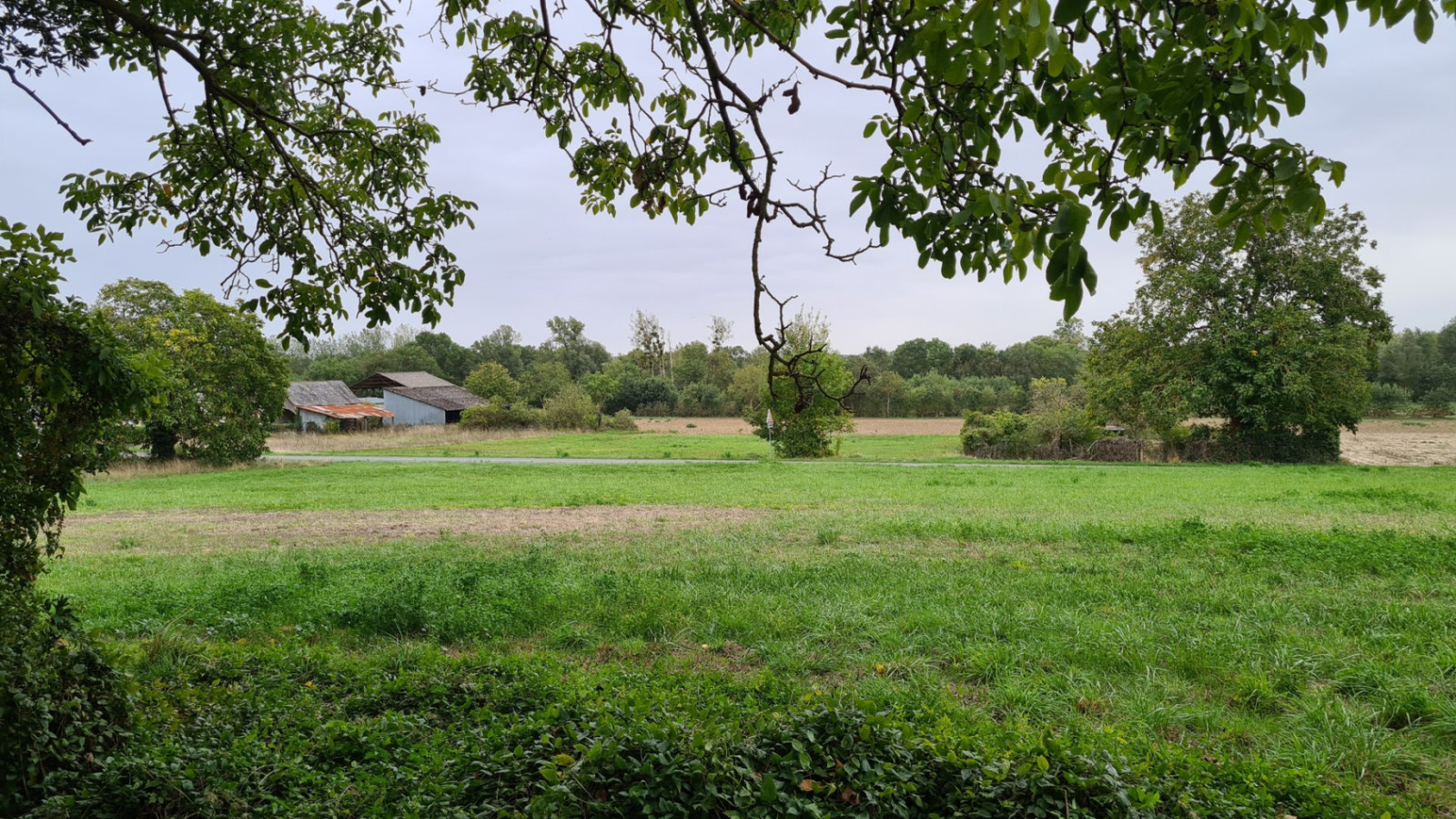 Terrain constructible de 3700m2 à Chinon