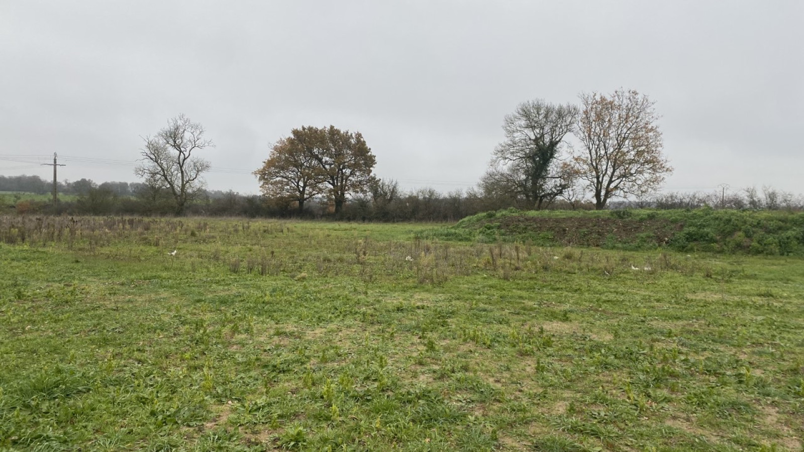 Terrain constructible de 449m2 à Champtocé-sur-Loire