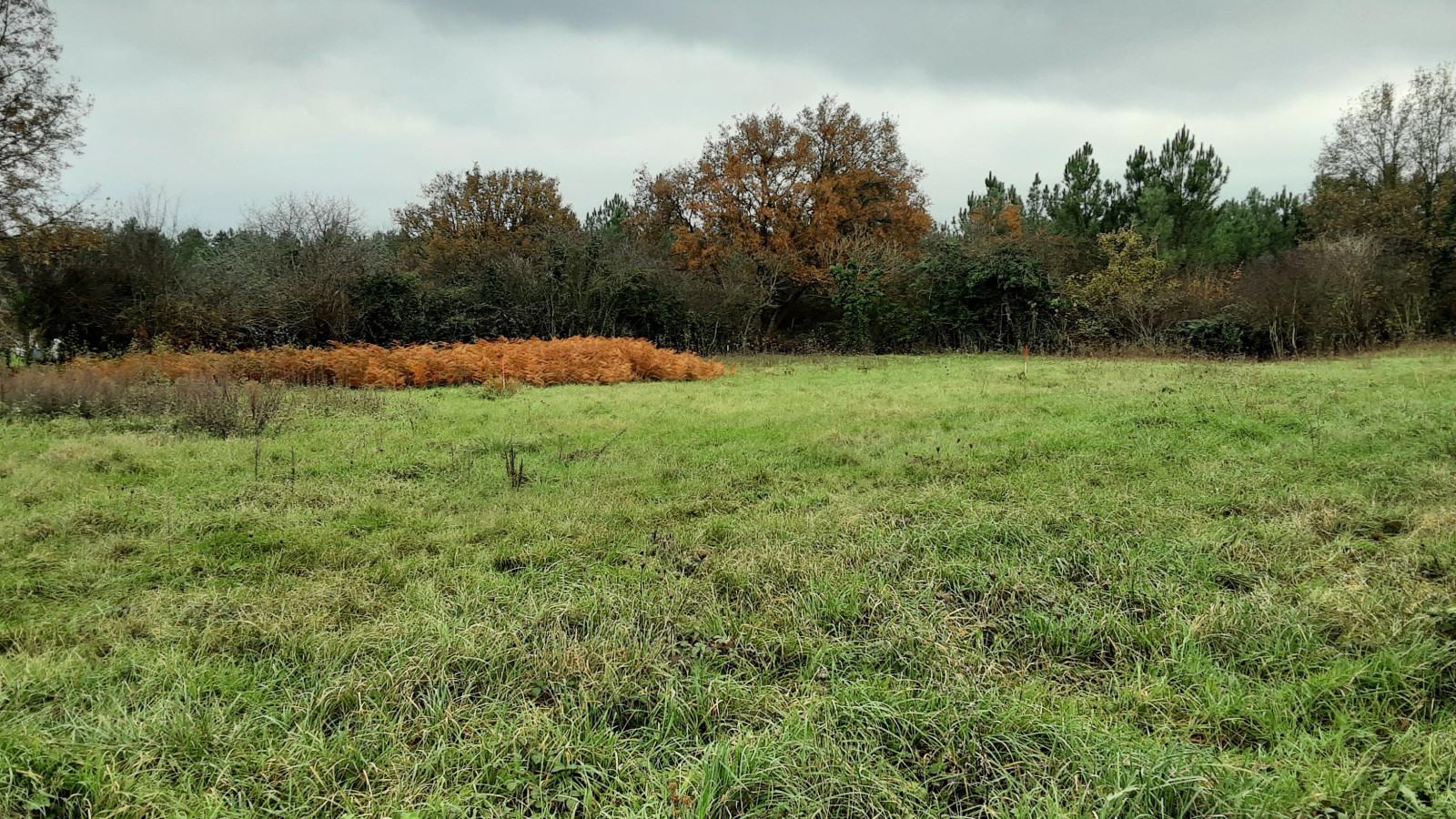 Terrain constructible de 3250m2 à Les Rairies