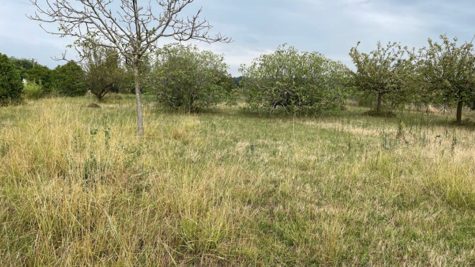 Terrain constructible de 400m2 à Montreuil-Bellay