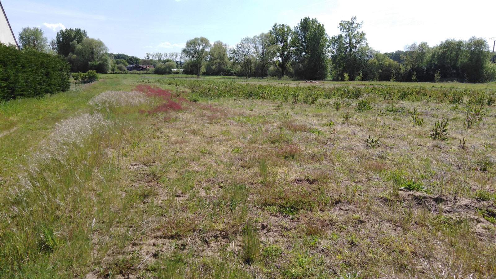 Terrain constructible de 480m2 à Bellevigne-les-Châteaux