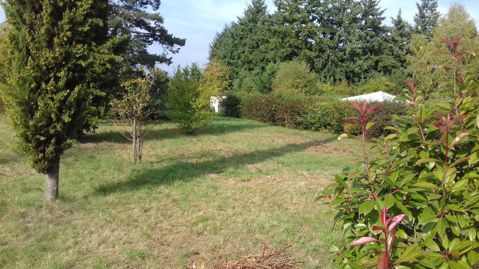 Terrain constructible de 878m2 à Souppes-sur-Loing