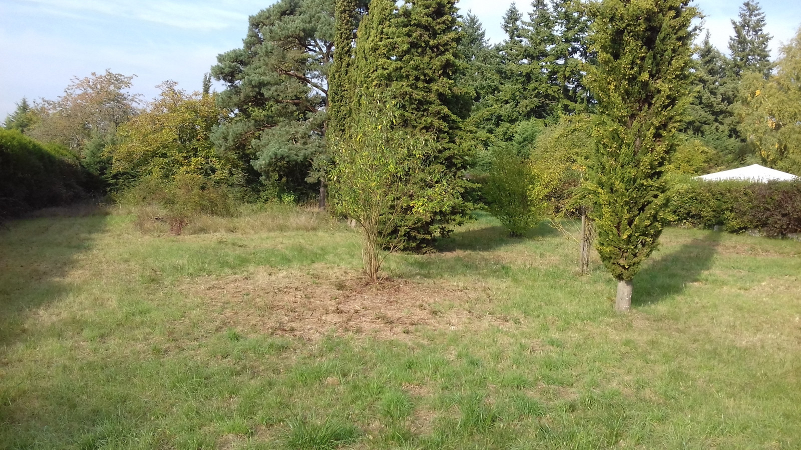 Terrain constructible de 1260m2 à Souppes-sur-Loing