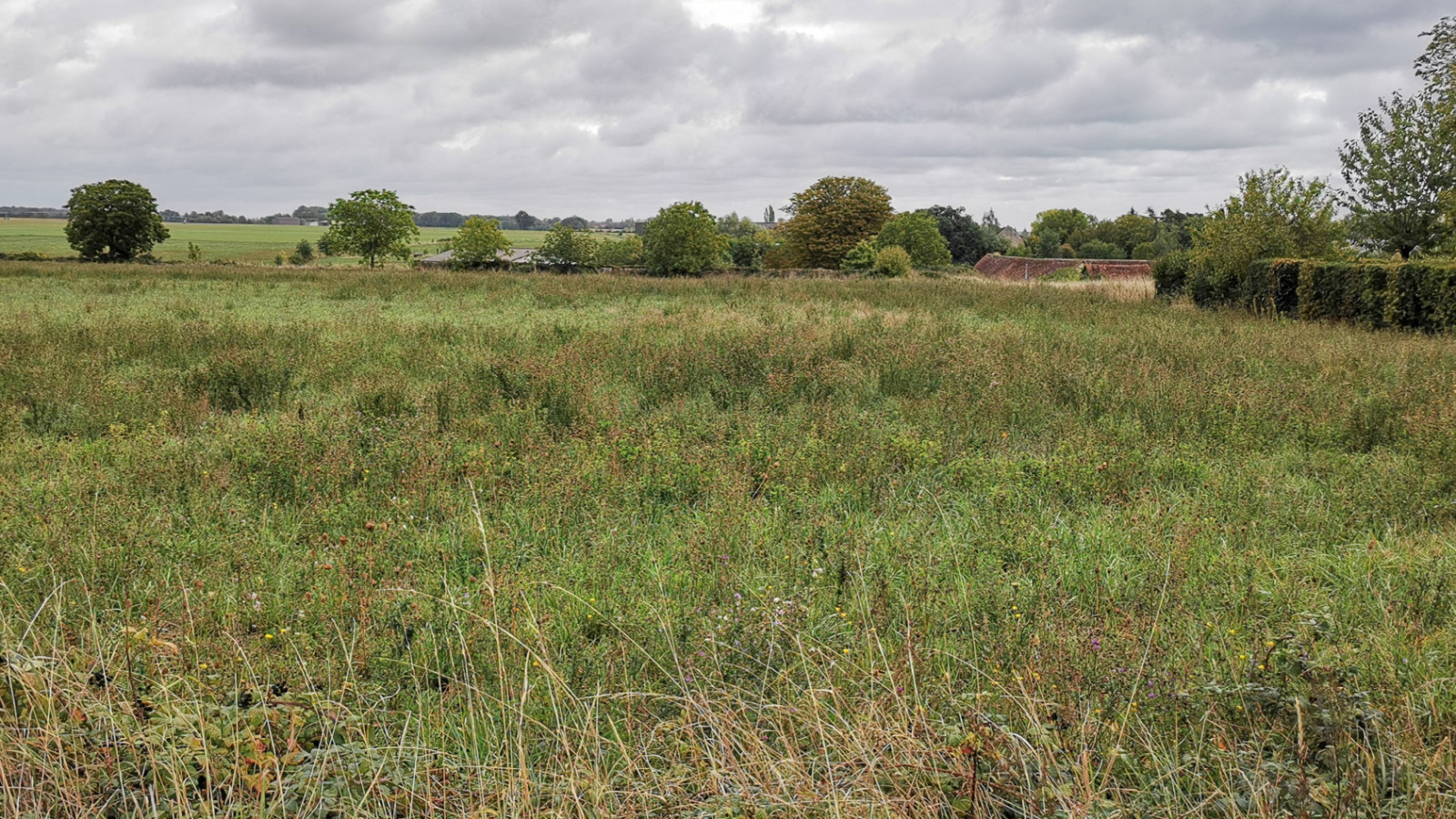 Terrain constructible de 969m2 à Chisseaux