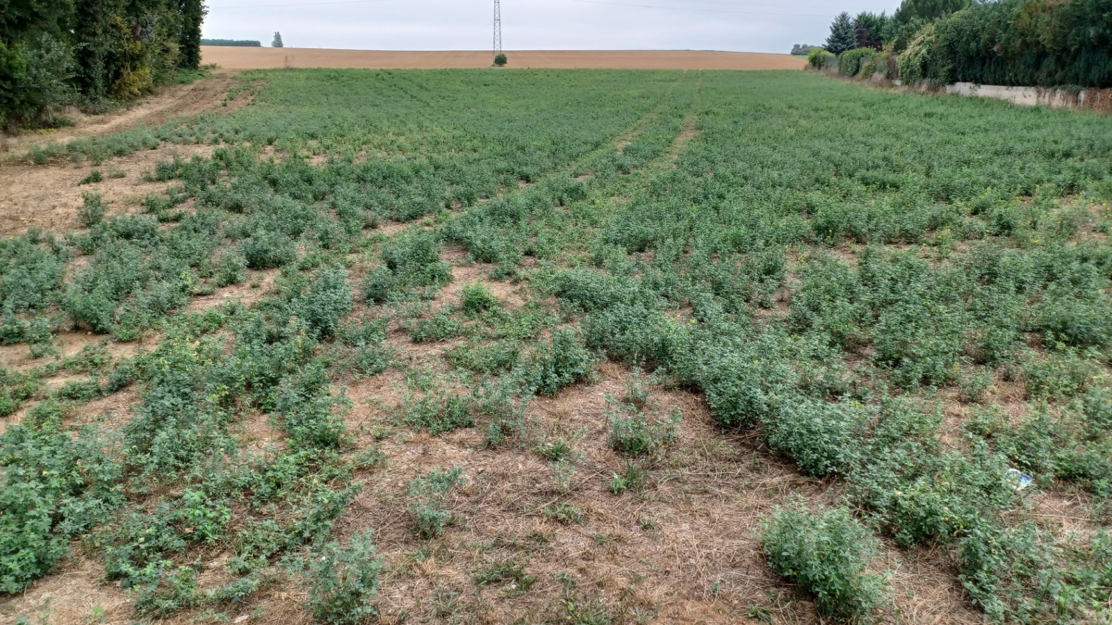 Terrain constructible de 709m2 à Villiers