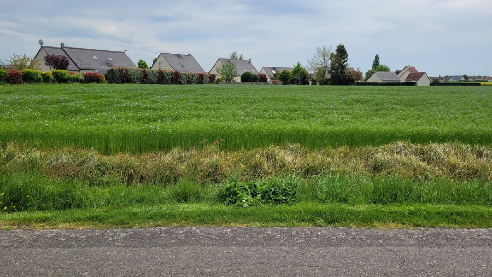 Terrain constructible de 476m2 à Saint-Laurent-en-Gâtines