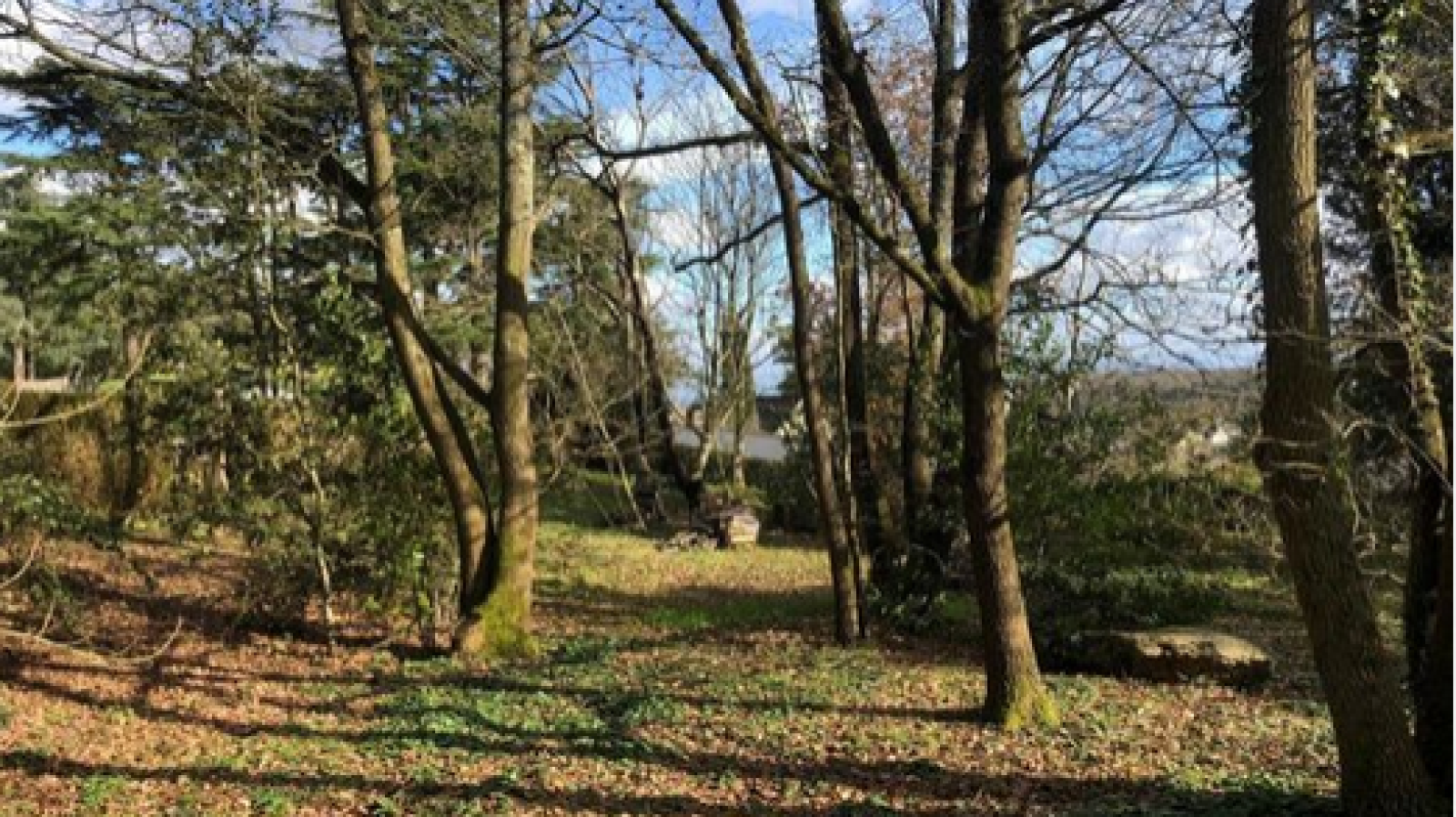 Terrain constructible de 1700m2 à Le Puy-Notre-Dame