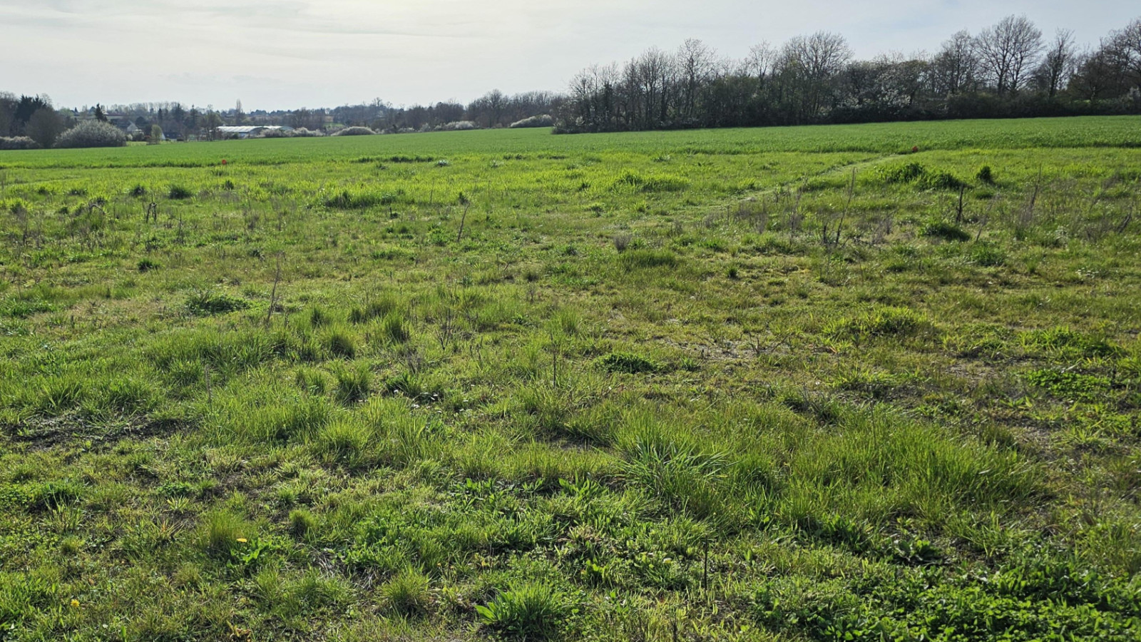 Terrain constructible de 830m2 à Genillé