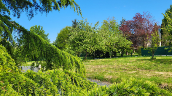 Terrain Tiercé 06.PNG