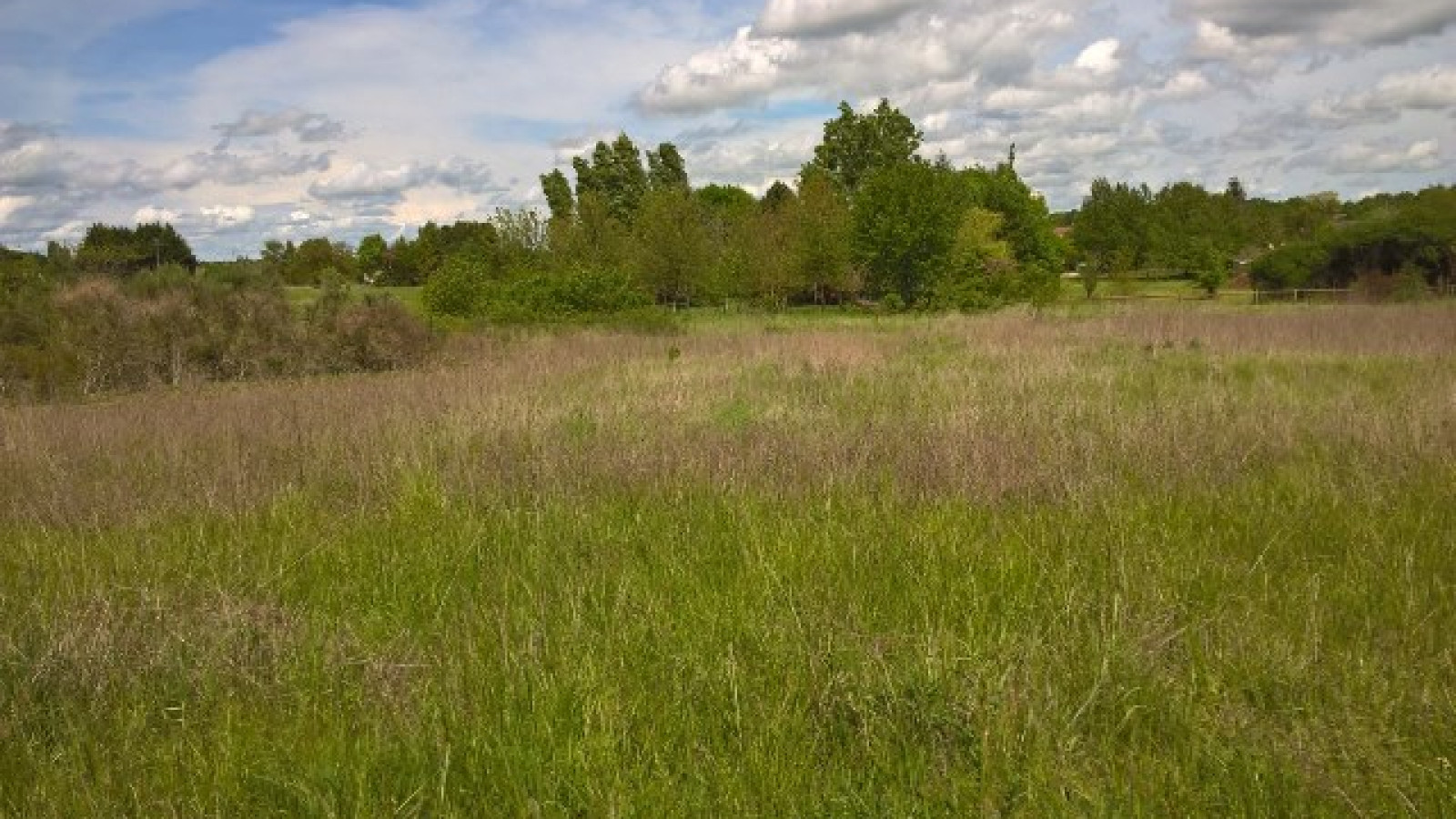 Terrain constructible de 770m2 à Ladon