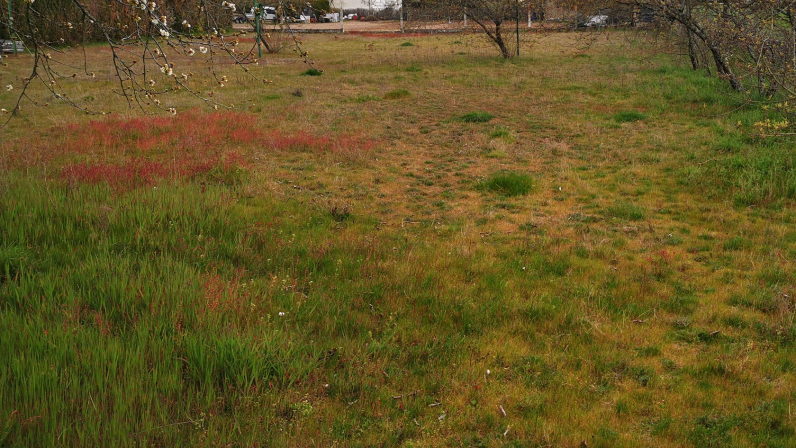 Terrain constructible de 626m2 à La Chapelle-Blanche-Saint-Martin