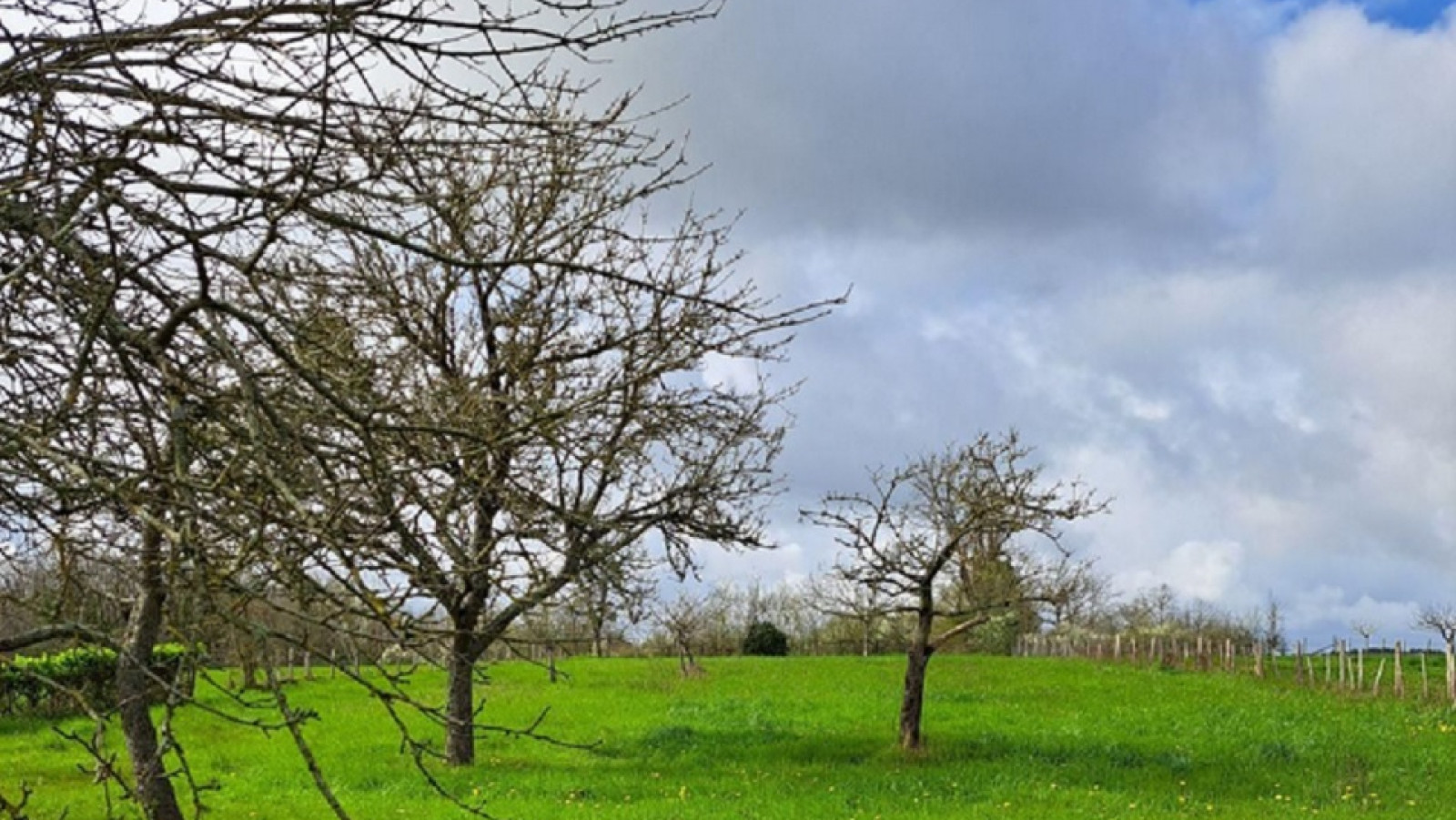 Terrain constructible de 400m2 à Thuré