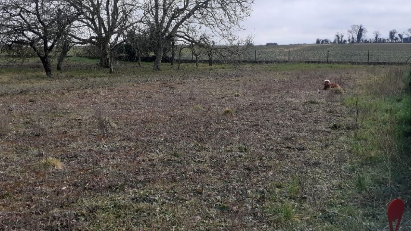 Terrain constructible de 1303m2 à Vouneuil-sous-Biard