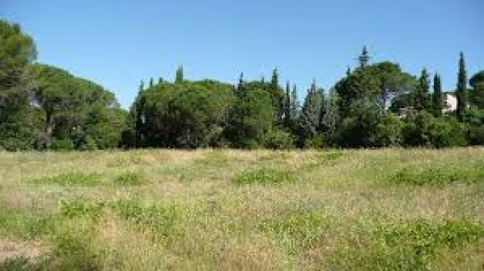 Terrain constructible de 2700m2 à Ligré