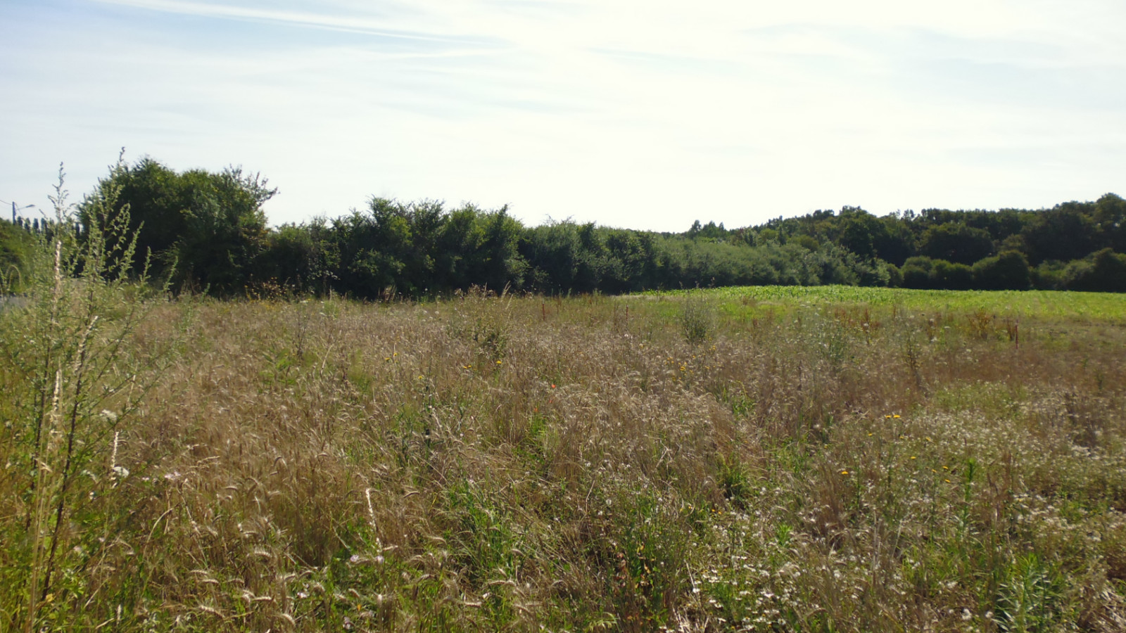 Terrain constructible de 1224m2 à Girolles