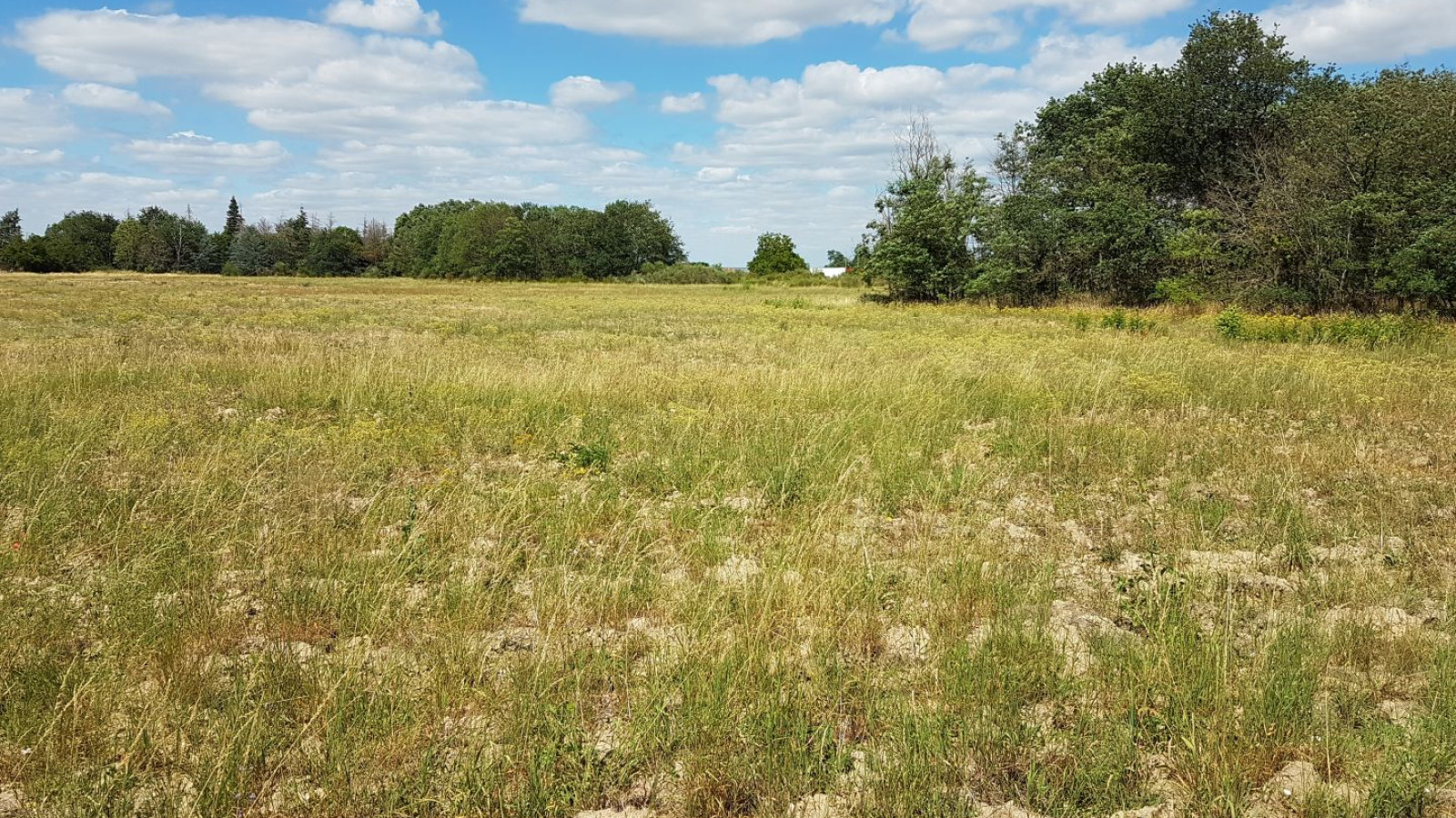 Terrain constructible de 421m2 à Vienne-en-Val