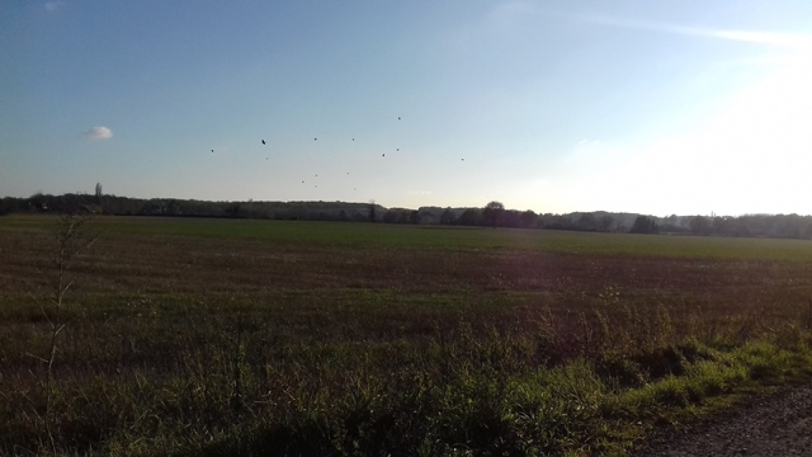 Terrain constructible de 637m2 à Mazières-de-Touraine