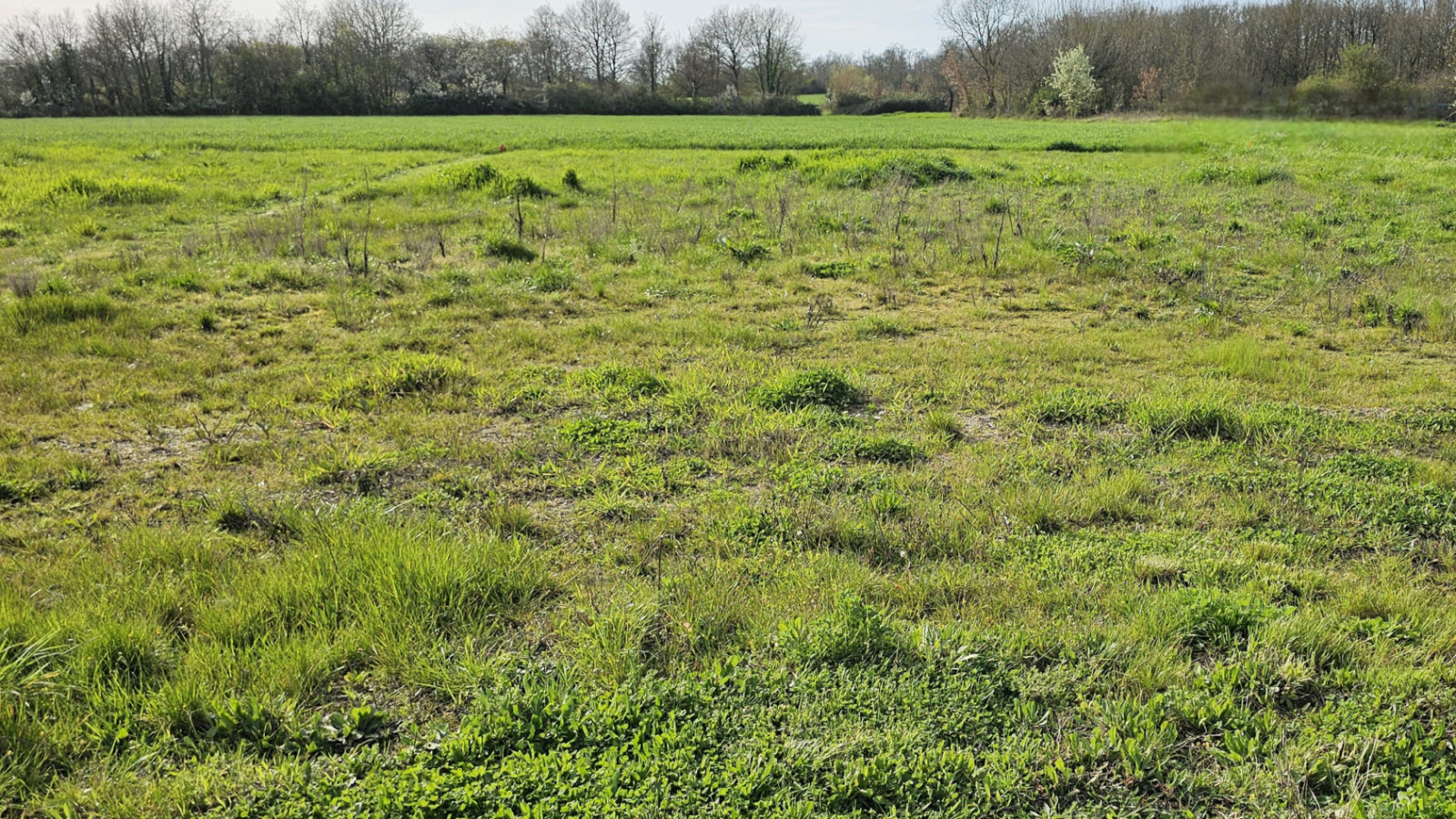 Terrain constructible de 450m2 à Sainte-Maure-de-Touraine