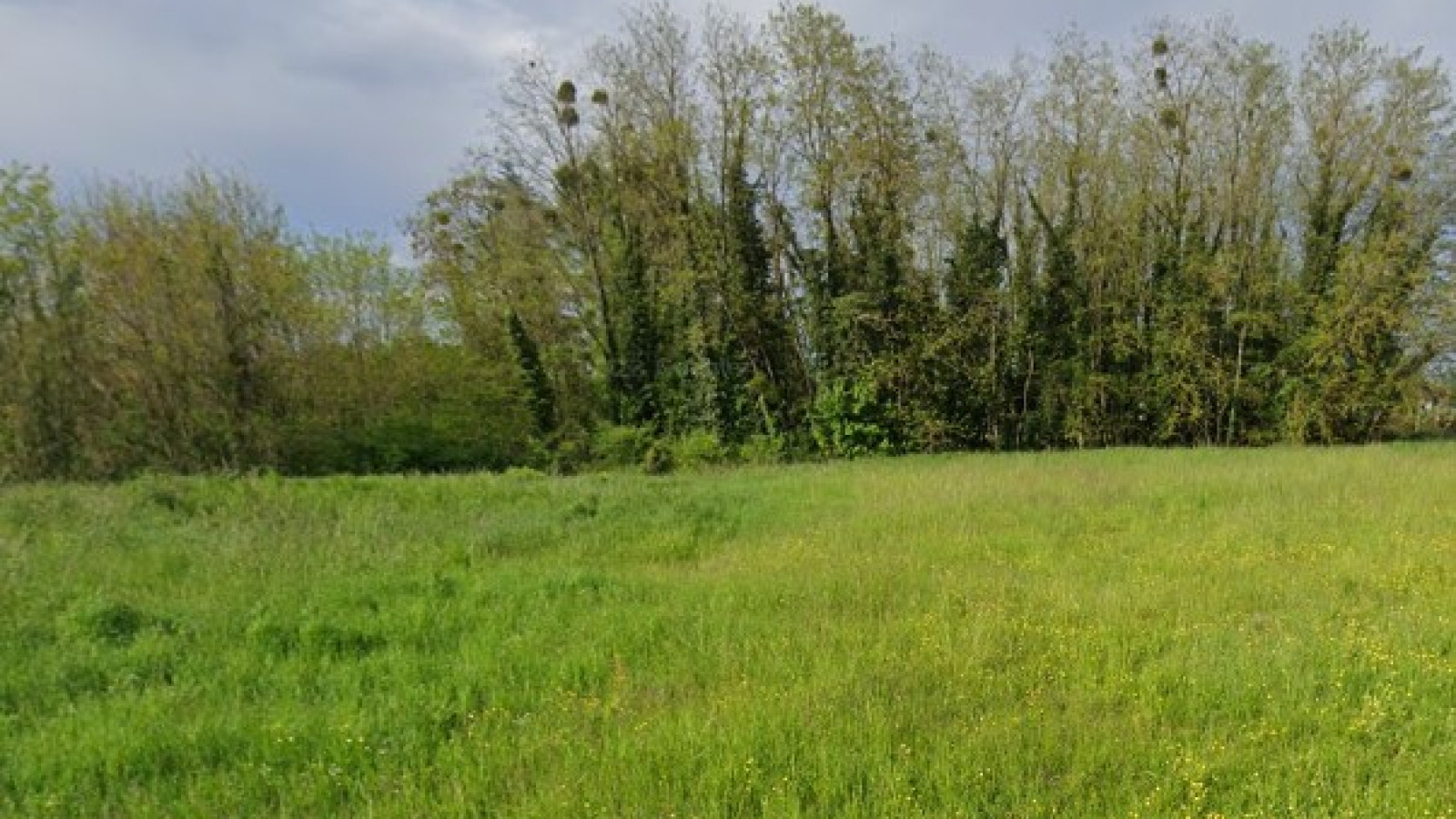 Terrain constructible de 600m2 à Valencisse