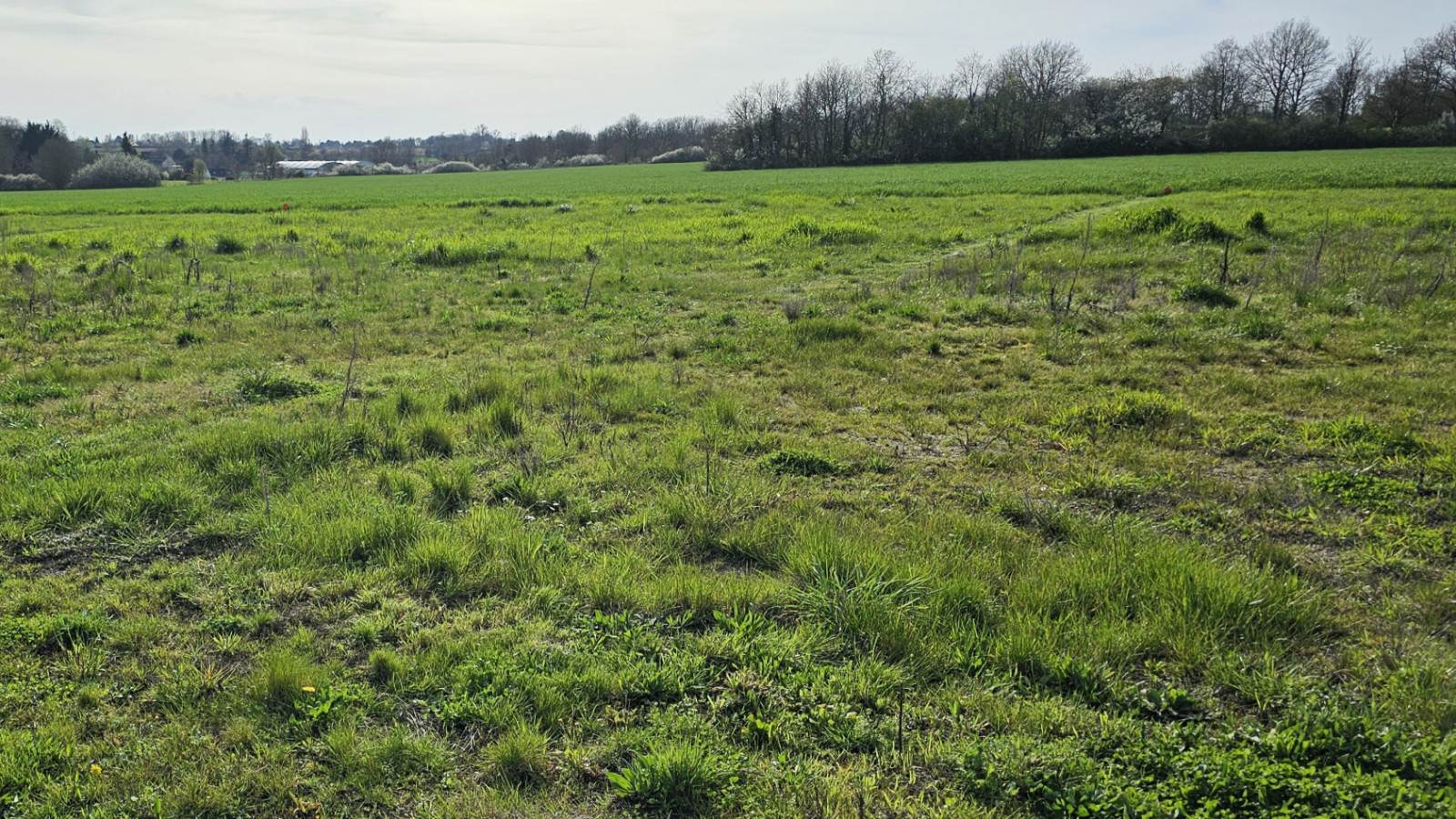 Terrain constructible de 447m2 à La Croix-en-Touraine