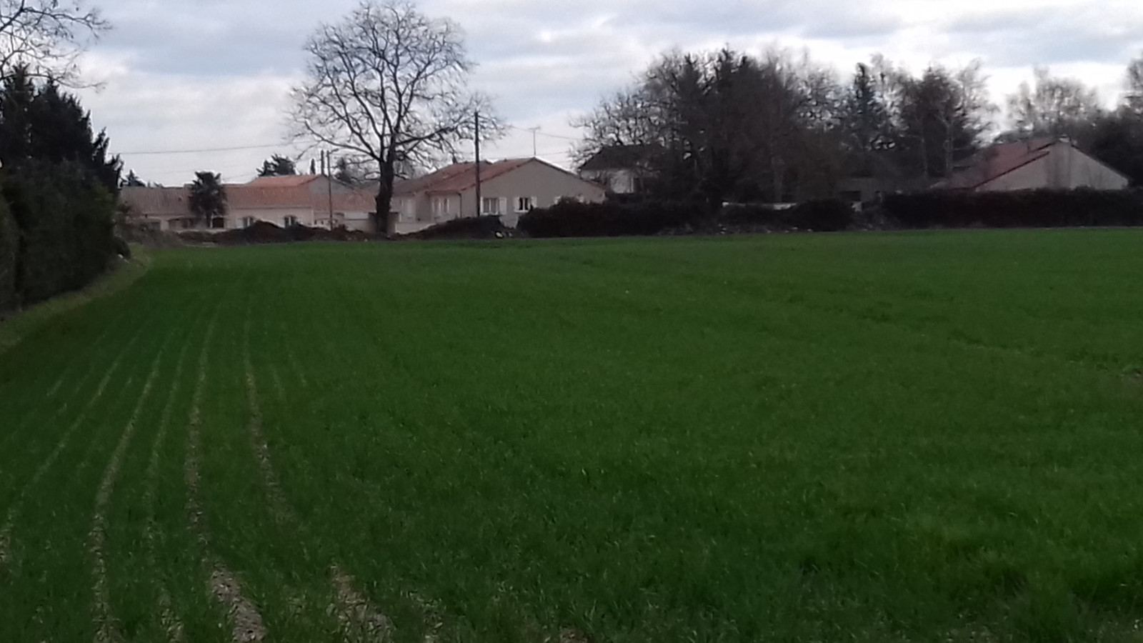 Terrain constructible de 2600m2 à Saint-Pierre-de-Maillé