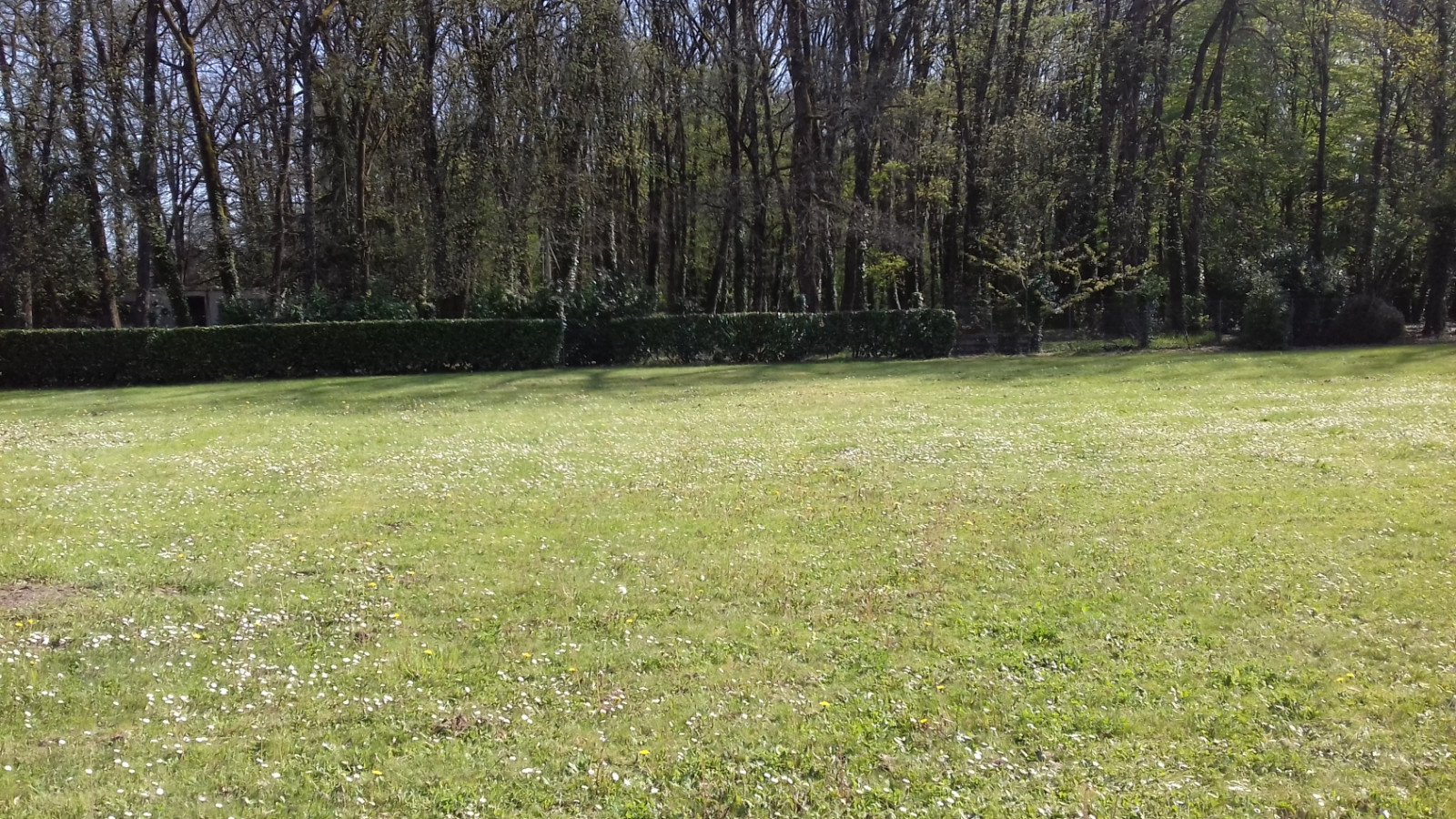 Terrain constructible de 2220m2 à Châtellerault