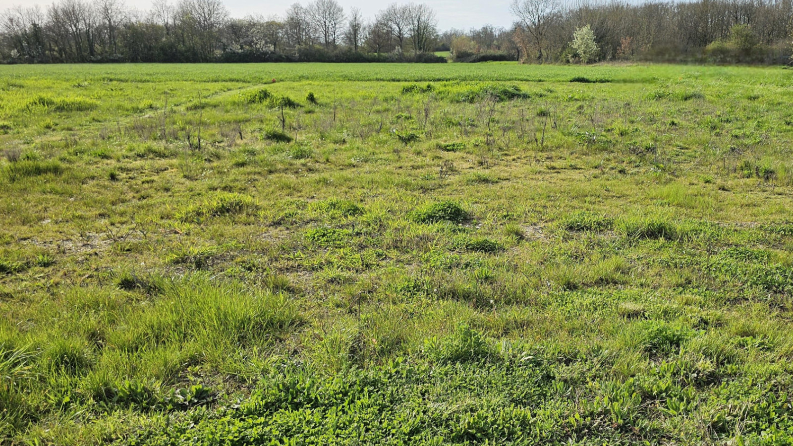 Terrain constructible de 453m2 à La Croix-en-Touraine