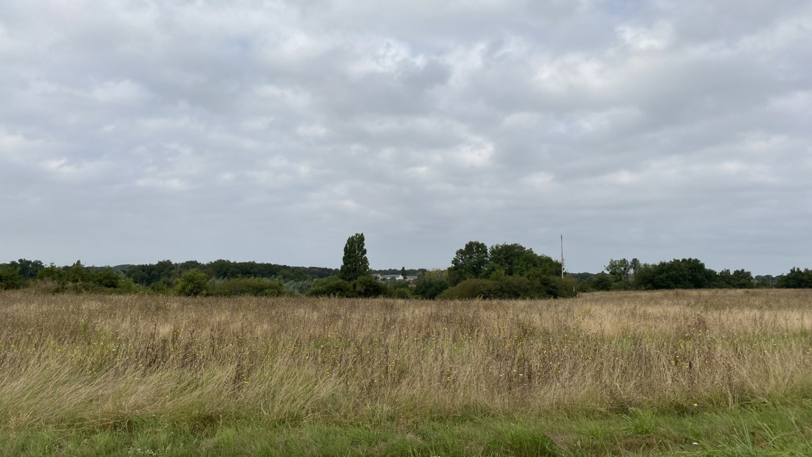 Terrain constructible de 428m2 à Tauxigny-Saint-Bauld