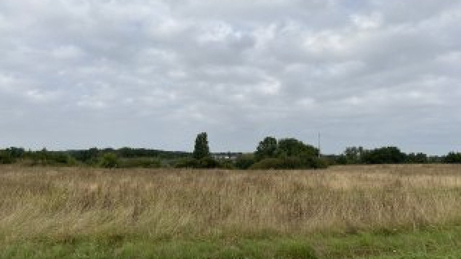 Terrain constructible de 532m2 à Tauxigny-Saint-Bauld