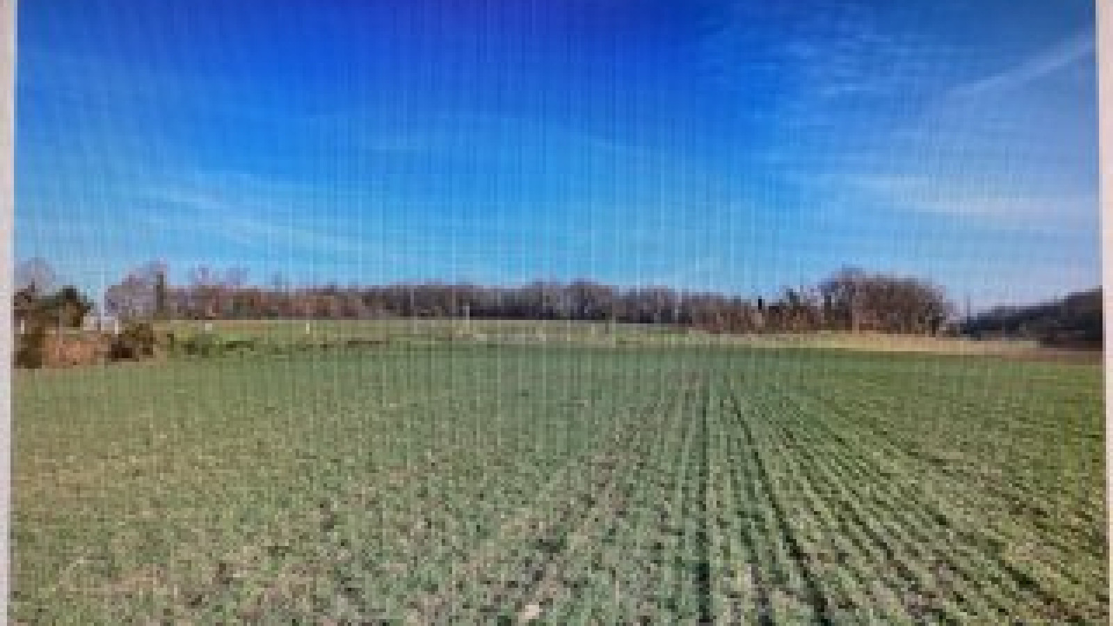 Terrain constructible de 449m2 à Sainte-Maure-de-Touraine