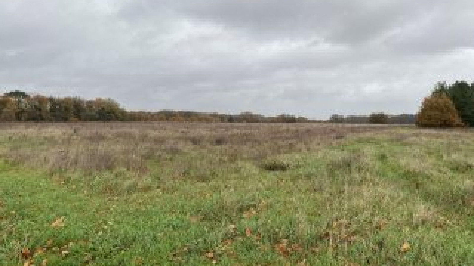 Terrain constructible de 437m2 à Courçay