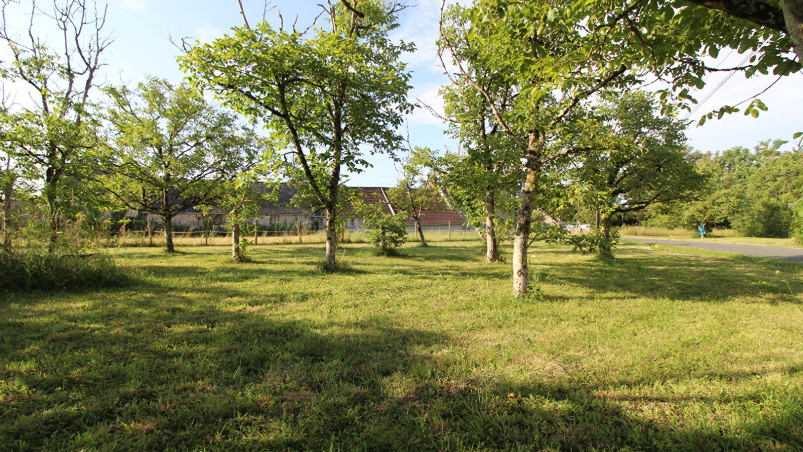 Terrain constructible de 980m2 à Monteaux