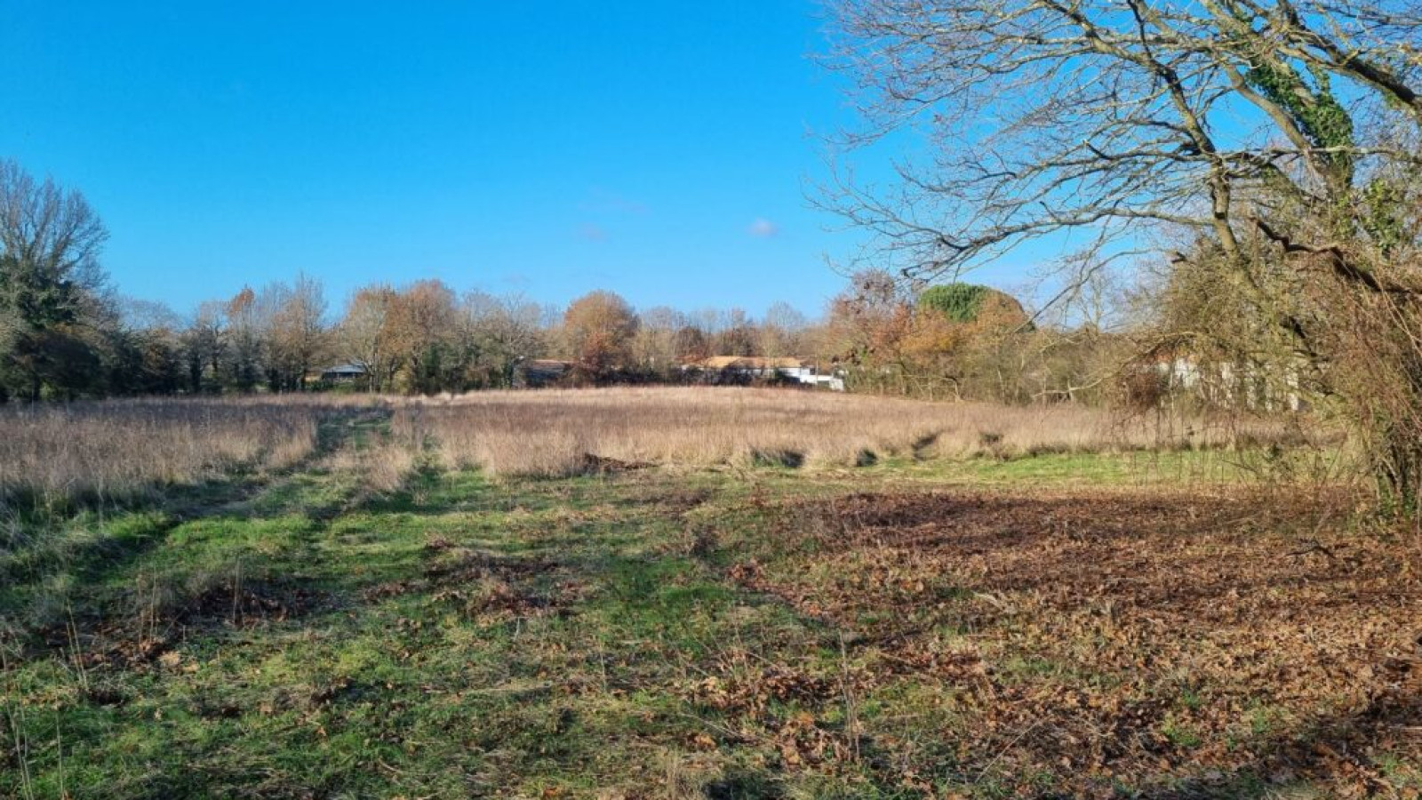 Terrain constructible de 537m2 à Bellevigny