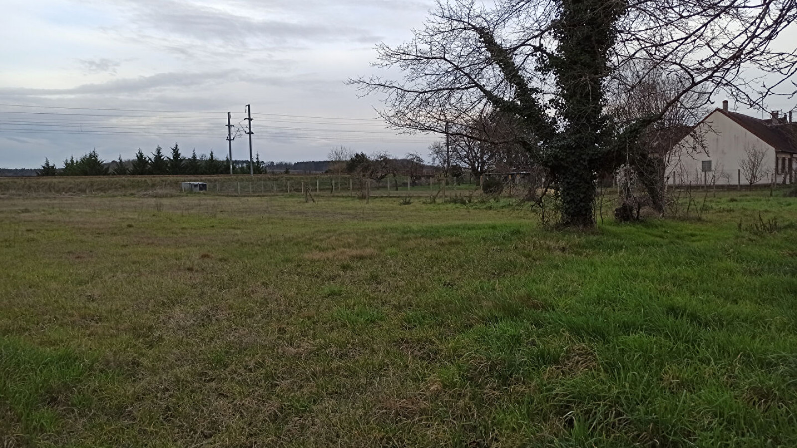 Terrain constructible de 3100m2 à Noyers-sur-Cher