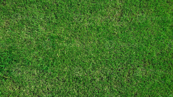 7185818-vue-de-dessus-de-la-zone-couverte-de-terrain-en-herbe-verte-pour-les-cours-de-sport-tels-que-le-golf-soccer-ou-le-football-pelouse-tapis-texture-fond-photo.jpg