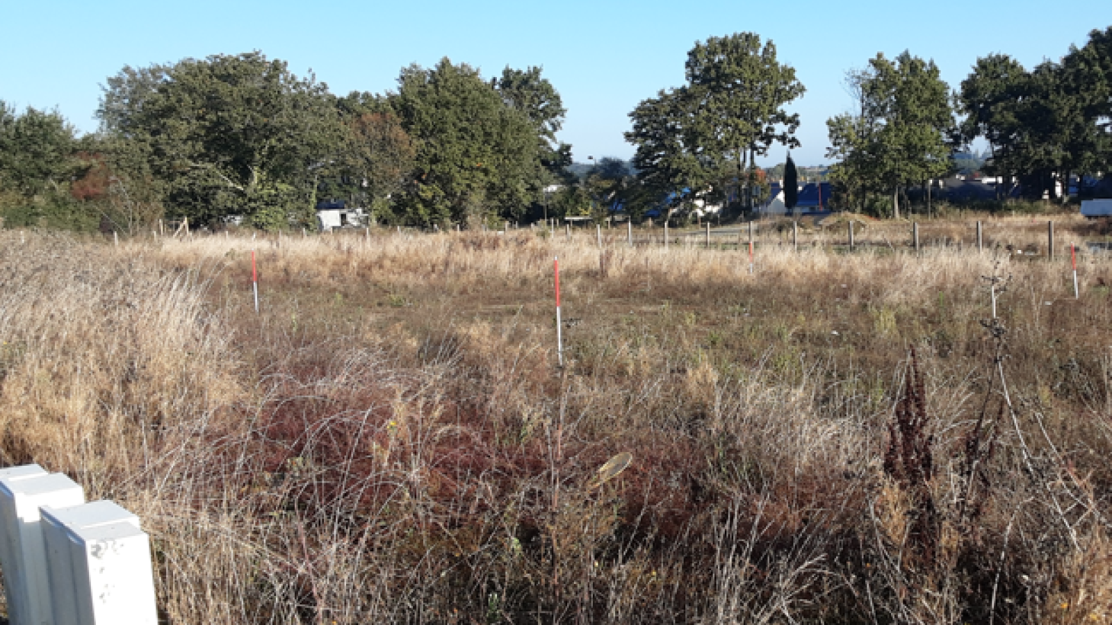 Terrain constructible de 505m2 à Longuenée-en-Anjou