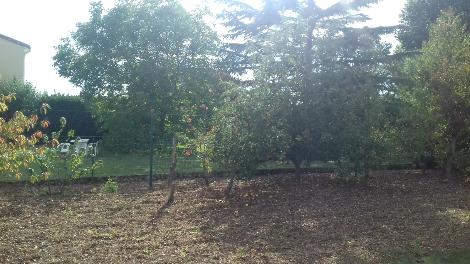 Terrain constructible de 683m2 à Thuré
