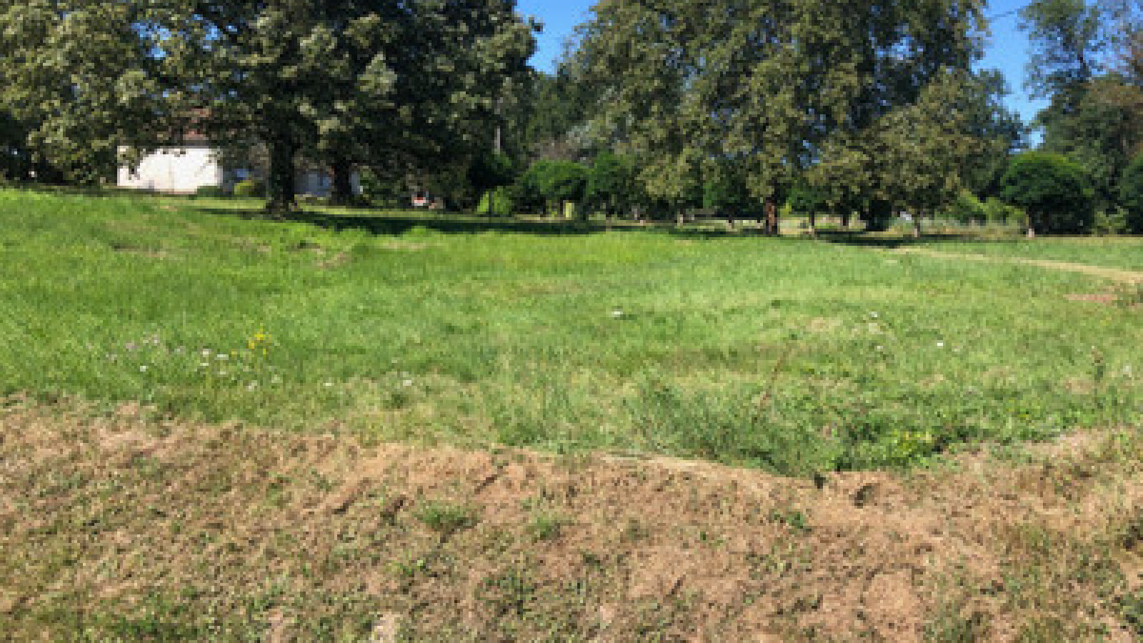 Terrain constructible de 2000m2 à Jaunay-Marigny