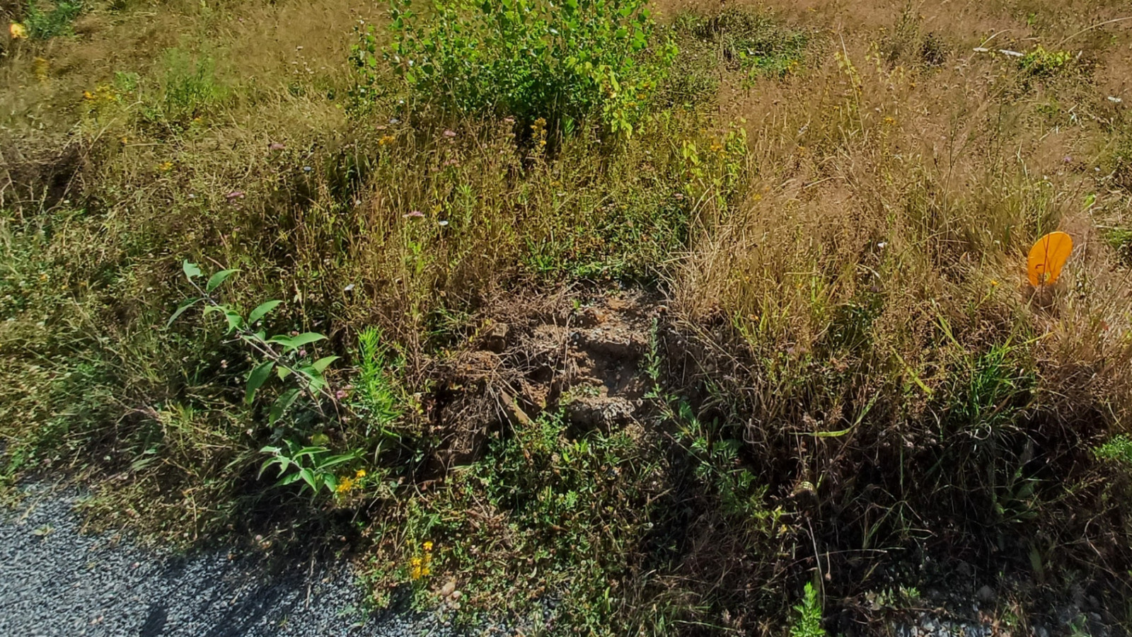 Terrain constructible de 500m2 à Cholet