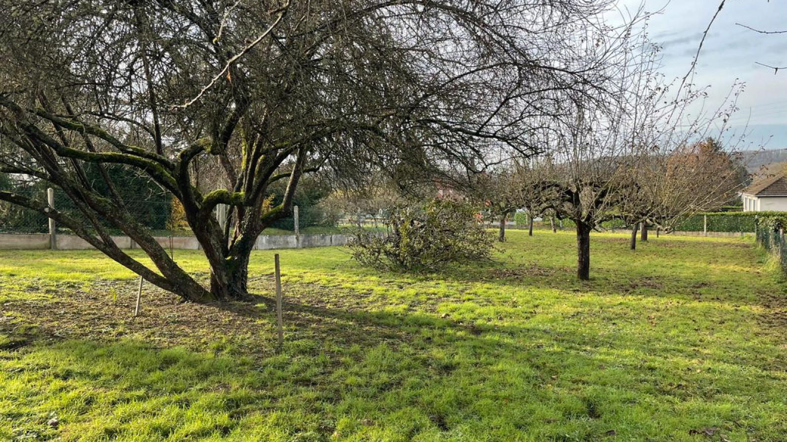 Terrain constructible de 1400m2 à La Chapelle-Saint-Martin-en-Plaine