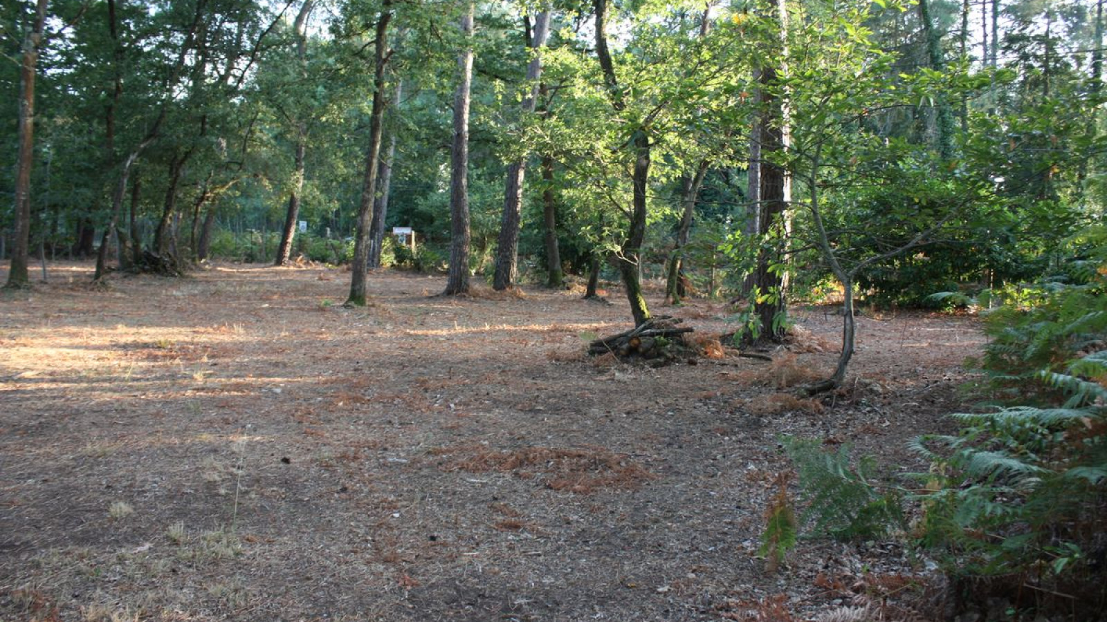 Terrain constructible de 650m2 à Beaumont-en-Véron