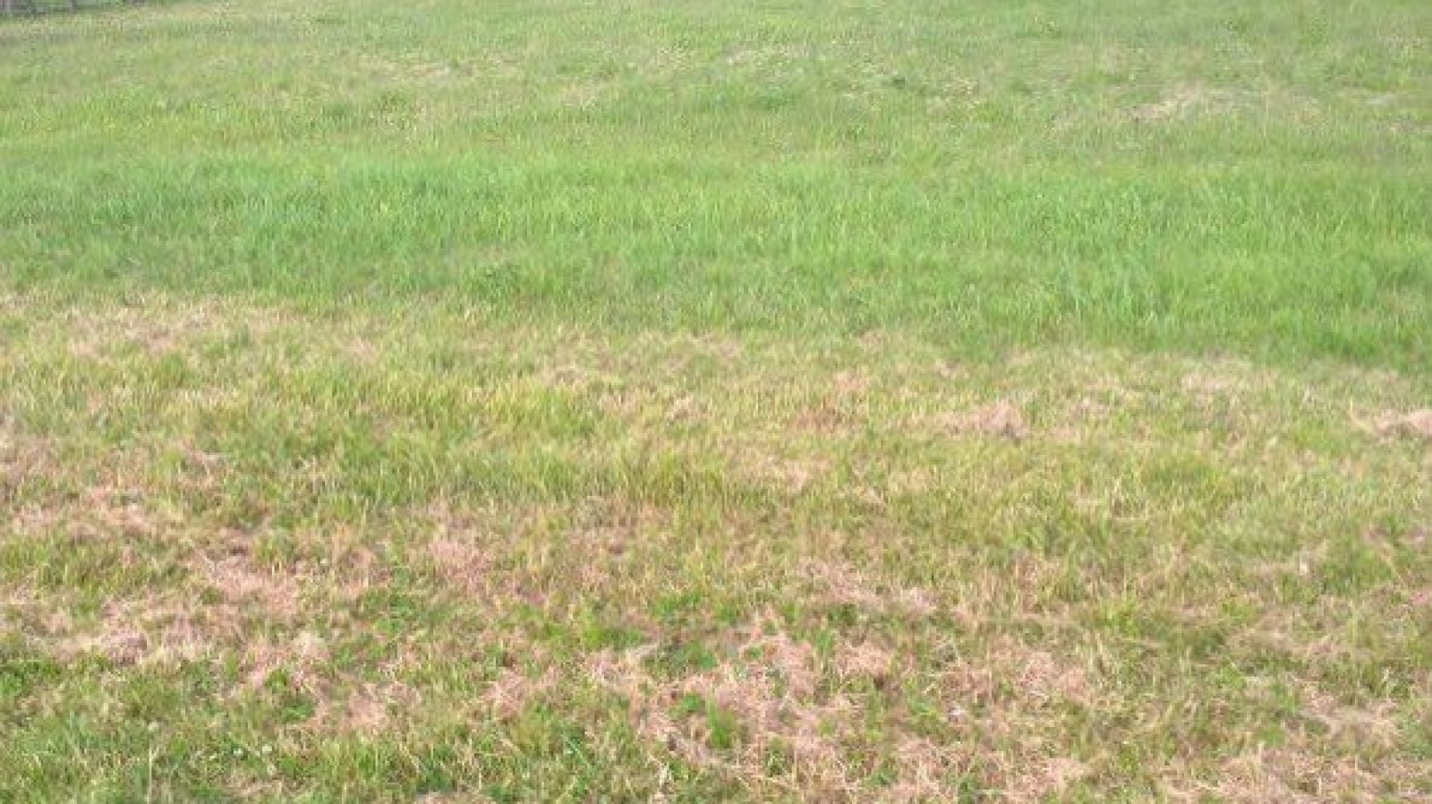 Terrain constructible de 1250m2 à Marçay
