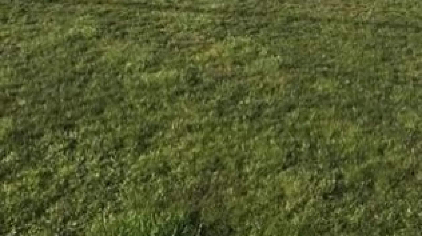Terrain constructible de 310m2 à Cholet
