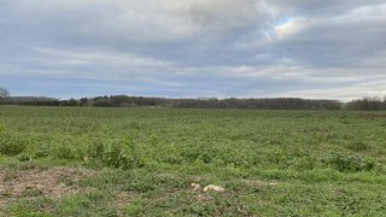 Terrain constructible de 518m2 à Veigné