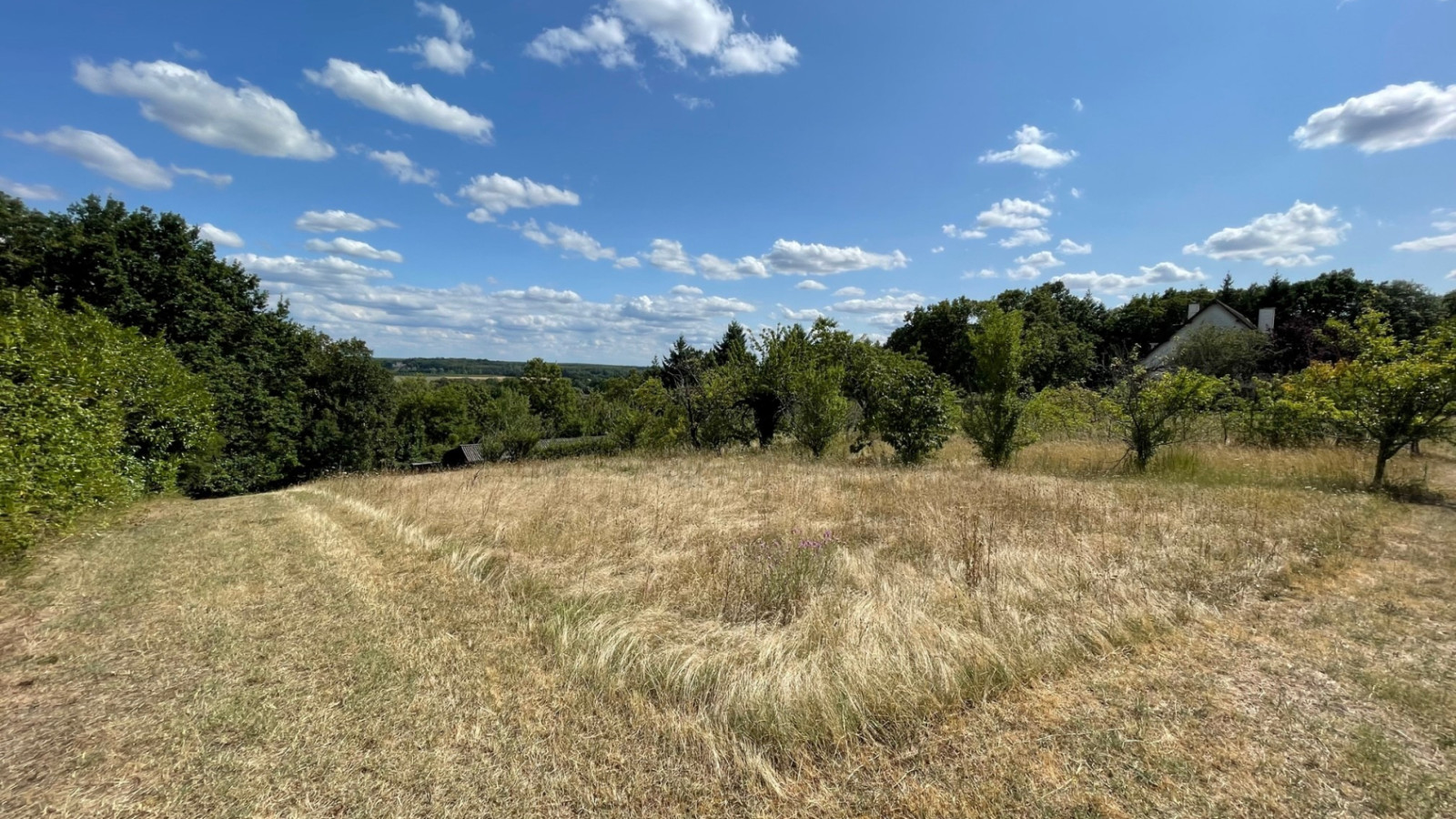 Terrain constructible de 2400m2 à Chissay-en-Touraine