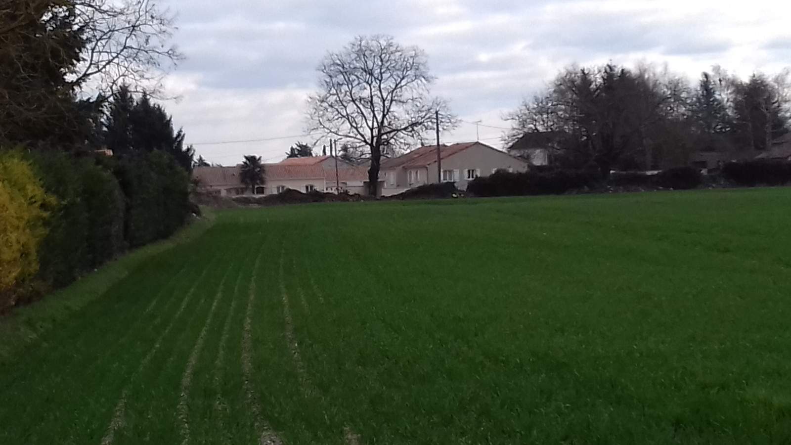 Terrain constructible de 446m2 à Naintré