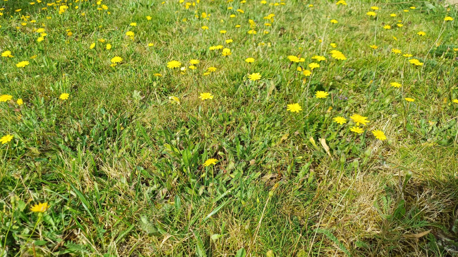 Terrain constructible de 420m2 à La Plaine