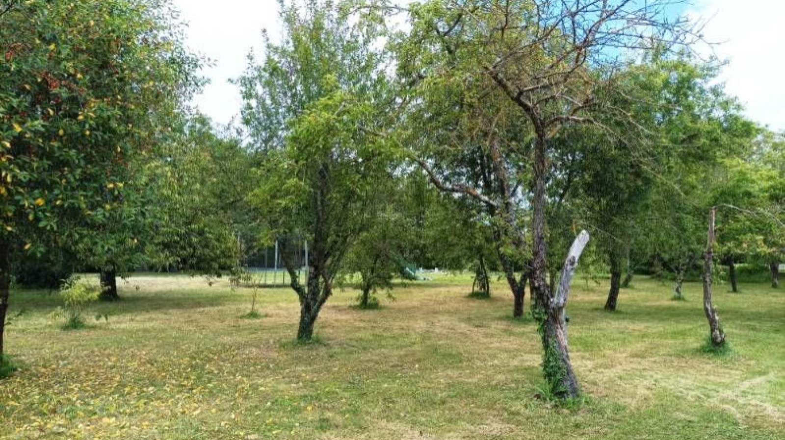 Terrain constructible de 1850m2 à Bonnes