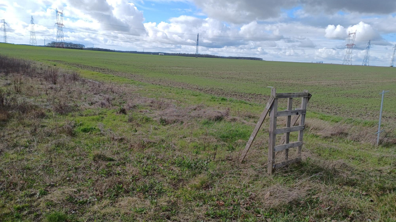 Terrain constructible de 760m2 à Souvigny-en-Sologne